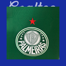 Camiseta Palmeiras 25/26 (Modelo Aficionado)
