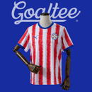 Camiseta Paraguay 2026 (Modelo Aficionado)
