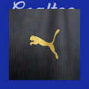 Camiseta Peñarol 25/26 (Modelo Aficionado)