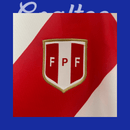 Camiseta Perú 24/25 (Modelo Aficionado)