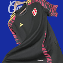 Camiseta Perú 24/25 (Modelo Aficionado)