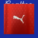 Camiseta Portugal 25/26 (Modelo Aficionado)