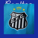 Camiseta Santos 25/26 (Modelo Aficionado)