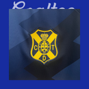 Camiseta Tenerife 24/25 (Modelo Aficionado)