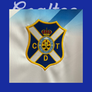 Camiseta Tenerife 24/25 (Modelo Aficionado)