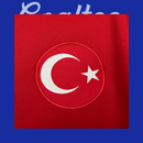 Camiseta Turquía 24/25 (Modelo Aficionado)
