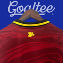 Camiseta Valladolid 24/25 (Modelo Aficionado)