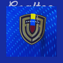 Camiseta Venezuela 25/26 (Portero Modelo Aficionado)