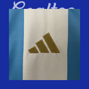 Camiseta Argentina 24/25 (Femenina)
