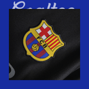 Camiseta Barcelona 13/14 (Retro)