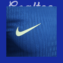 Camiseta Estados Unidos 24/25 (Modelo Jugador)