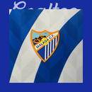 Camiseta Malaga 24/25 (Special Edition)
