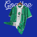 Camiseta Nigeria 24/25 (Modelo Aficionado)