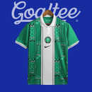 Camiseta Nigeria 24/25 (Modelo Aficionado)