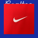 Camiseta Portugal 24/25 (Femenina)